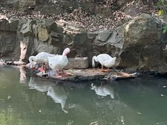 -兰亭风景区