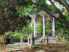 -番禺大夫山森林公园