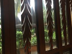 -亚马逊丛林水乐园