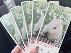 -秦皇岛野生动物园