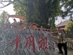 -大槐树寻根祭祖园