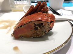 -蝶园·装修中(BFC外滩金融中心店)