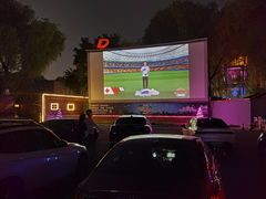 -枫花园汽车电影院(朝阳公园店)