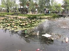 -同銮特种养殖场·龙虾垂钓