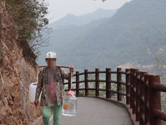 -羚羊峡古栈道森林公园