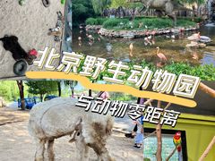 -北京野生动物园
