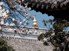 -龙华寺