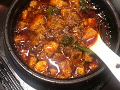 -陈麻婆豆腐总店