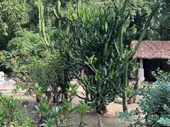 -广州长隆飞鸟乐园