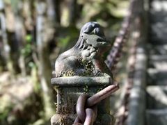 -腾冲云峰山