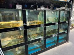 水产区-院8里·少城记忆老川菜(宽窄巷子店)