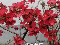 -上海方塔园