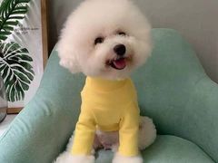 -翊宠yipet猫狗购宠庄园犬舍•猫舍