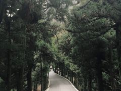 -南岳衡山风景名胜区