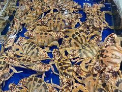 -三亚火车头万人海鲜广场