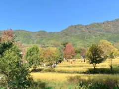 -塔川景区