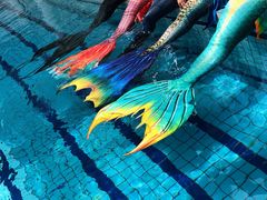 -CLASS国际公馆诺伯曼超越运动会馆