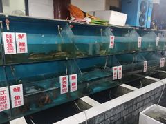 水产区-高坎一品甲鱼庄(两河店)