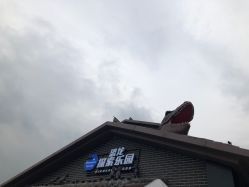 -恐龙探索乐园(磁器口店)