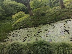 -杭州植物园