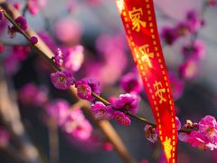 -雨花胜境