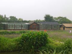 -乌镇东栅景区