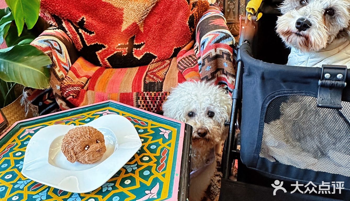 回龙观！首开LONG街最值得打卡的咖啡店