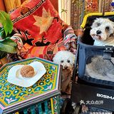 回龙观！首开LONG街最值得打卡的咖啡店