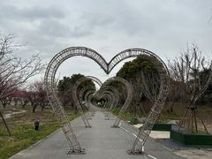 -上海杨姆庄园