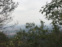 -紫金山天文台