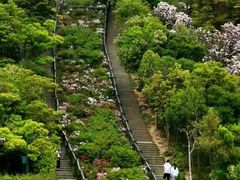 -梧桐山风景名胜区