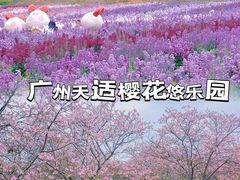 -天适樱花悠乐园