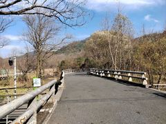 -西湖风景区-江洋畈生态公园