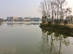 -白鹭湾湿地公园