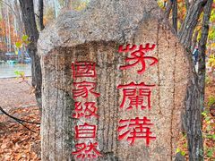 -茅兰沟国家森林公园