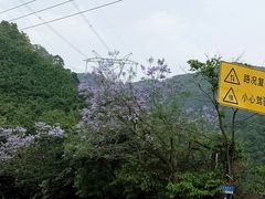 -广州市帽峰山景区