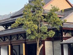 -句容茅山景区