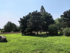 -秦始皇帝陵博物院-丽山园