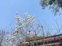 -钱王祠