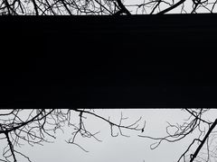 -观山湖公园