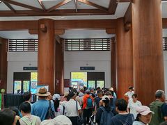 -洛阳白云山景区