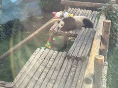 -大连森林动物园