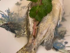 清蒸本灣桂魚-壹零贰小馆(桂城石啃店)