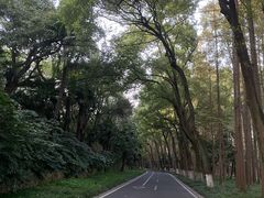 -采石矶景区