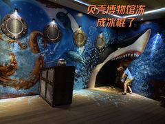 -贝壳梦幻世界
