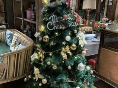 -一棵树·意大利西餐厅One Tree(新城店)