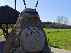 -嘉北郊野公园