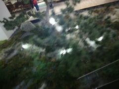 -潮粥荟·潮汕砂锅粥(朝阳大悦城店)