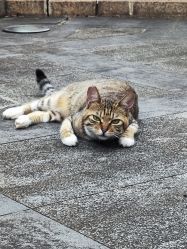 -巍阁高端月子会所