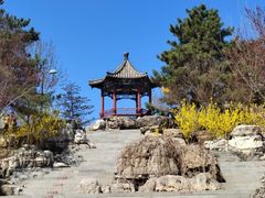 -大兴滨河森林公园